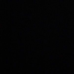 Meet your Posher, Josie